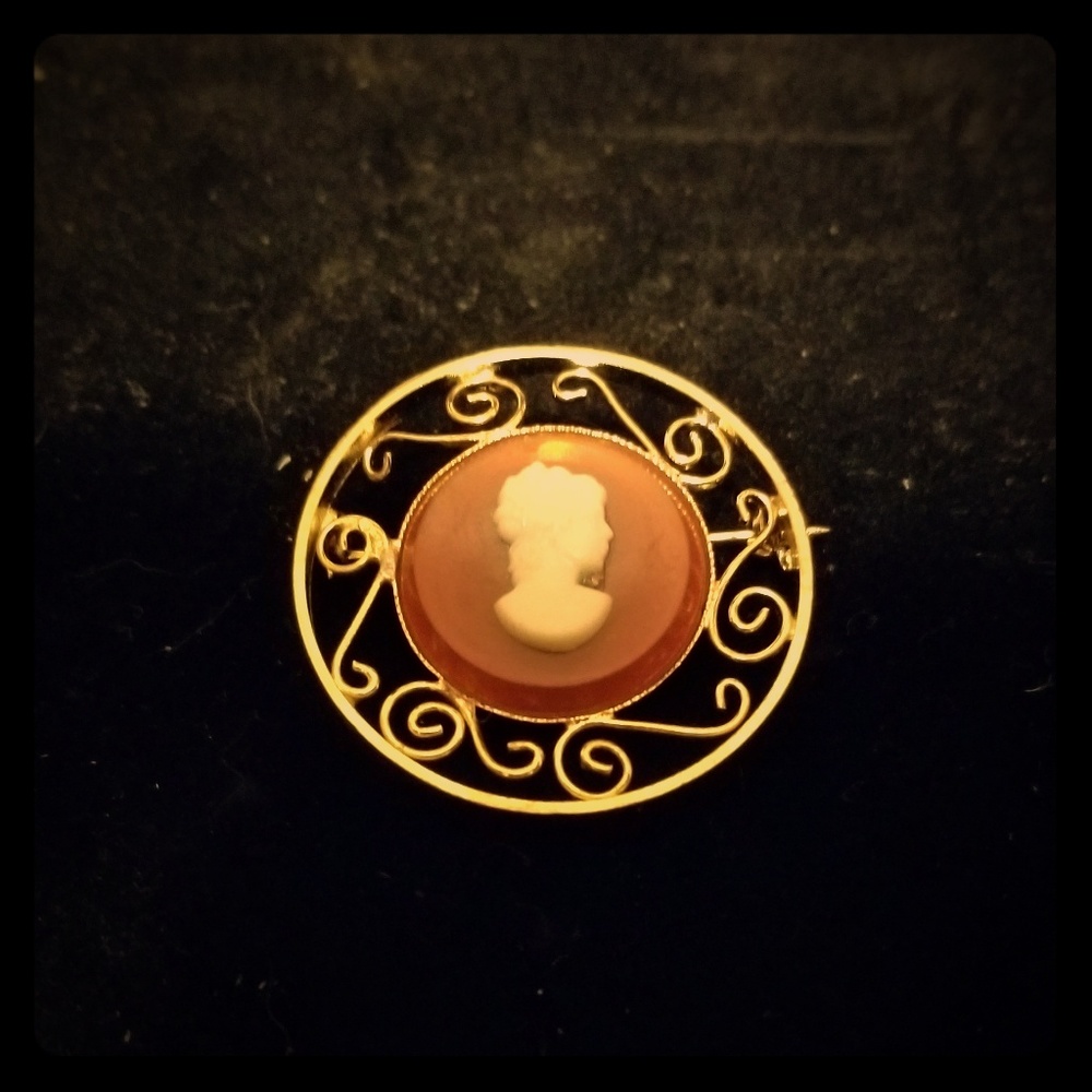 Vintage Cameo Pin